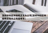 深圳中科区块链概念龙头公司[深圳中科区块链概念龙头公司是哪家]